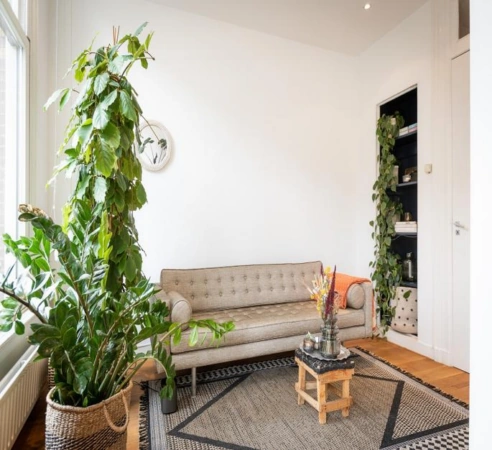 Licht en stijlvol ingerichte woonkamer aan de Van Baerlestraat met beige bank, grote kamerplanten en een klein houten salontafeltje.